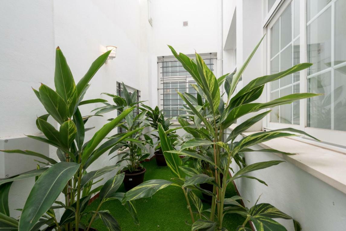 Ml1C-Prime Location Marble Apartment With Patios Малага Экстерьер фото